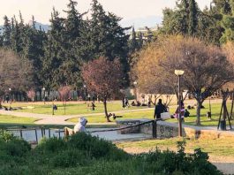 Καισαριανή: οι Μ.Κ.Ο. των σημερινών θεματοφυλάκων της “εμπιστοσύνης των πολιτών”…