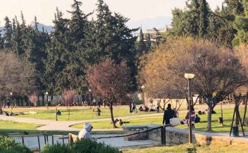 Καισαριανή: οι Μ.Κ.Ο. των σημερινών θεματοφυλάκων της “εμπιστοσύνης των πολιτών”…