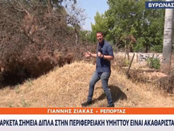 Τι κάνει η δημοτική αρχή για το δάσος στον περιφερειακό του νεκροταφείου;