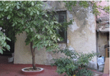 Οι δρίμες του Αυγούστου