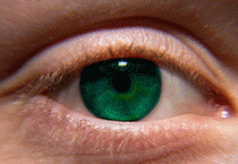 Κερατοειδής χιτώνας από κολλαγόνο χοίρου αποκαθιστά την όραση σε τυφλούς ανθρώπους