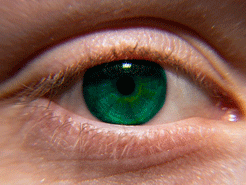 Κερατοειδής χιτώνας από κολλαγόνο χοίρου αποκαθιστά την όραση σε τυφλούς ανθρώπους