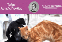 Χρηματοδότηση του Δήμου Βύρωνα για τα αδέσποτα, από το πρόγραμμα Φιλόδημος