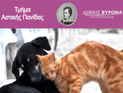 Χρηματοδότηση του Δήμου Βύρωνα για τα αδέσποτα, από το πρόγραμμα Φιλόδημος