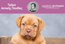 Σεμινάρια επιμόρφωσης πολιτών και φιλοζωικής ευαισθητοποίησης παιδιών από το Δήμο Βύρωνα