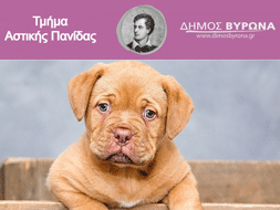 Σεμινάρια επιμόρφωσης πολιτών και φιλοζωικής ευαισθητοποίησης παιδιών από το Δήμο Βύρωνα