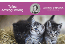 Δήμος Βύρωνα: Δωρεάν στειρώσεις για 50 αδέσποτες γάτες 11 & 12 Φεβρουαρίου!