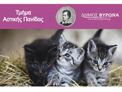 Δήμος Βύρωνα: Δωρεάν στειρώσεις για 50 αδέσποτες γάτες 11 & 12 Φεβρουαρίου!