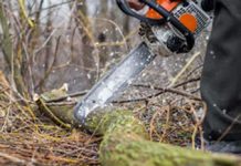 Καυσόξυλα από τον Υμηττό με άδεια από το Δασαρχείο Πεντέλης και για τους κατοίκους του Βύρωνα