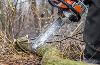 Καυσόξυλα από τον Υμηττό με άδεια από το Δασαρχείο Πεντέλης και για τους κατοίκους του Βύρωνα
