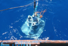 Στη Σαντορίνη το μοναδικό υποθαλάσσιο ηφαιστειακό παρατηρητήριο στη Μεσόγειο!