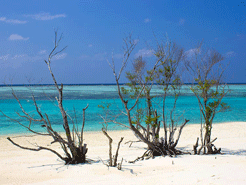 To θερμότερο Μάιο που έχει ποτέ καταγραφεί γνώρισε η επιφάνεια των ωκεανών