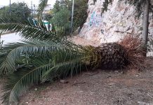 Ευθύνη και δημοκρατία