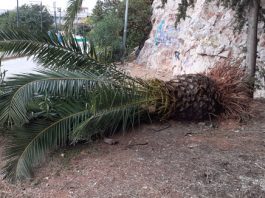 Ευθύνη και δημοκρατία