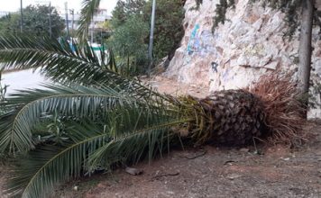 Ευθύνη και δημοκρατία