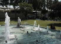 Κλιματική αλλαγή: Ο πλανήτης πλήττεται από συνεχόμενα κύματα καύσωνα