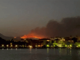 Πώς συνδέονται οι βροχές των προηγούμενων μηνών με τις πυρκαγιές