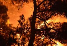 Εθνικό Αστεροσκοπείο Αθηνών: «Στάχτη» έγιναν 550.000 στρέμματα στην Ελλάδα μέχρι τον Ιούλιο