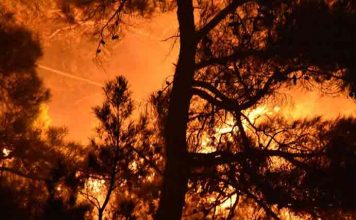 Εθνικό Αστεροσκοπείο Αθηνών: «Στάχτη» έγιναν 550.000 στρέμματα στην Ελλάδα μέχρι τον Ιούλιο