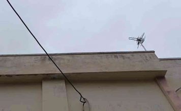 Βύρωνας και Τριγύρω: Αίτημα για διενέργεια αυτοψίας στο κινηματοθέατρο “ΛΟΥΙΖΑ”