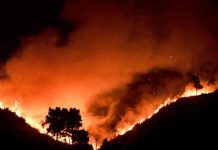 Κυβερνητική ευθύνη οι πυρκαγιές που καταστρέφουν τη χώρα: ΣΥΛΛΑΛΗΤΗΡΙΟ την ΠΕΜΠΤΗ 24.08, στις 7 μμ, στο ΣΥΝΤΑΓΜΑ