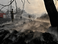 Viral ο εξαντλημένος πυροσβέστης που ξάπλωσε πάνω στη μάνικα για να ξεκουραστεί