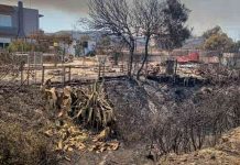 Η Ελλάδα μετράει τις στάχτες της