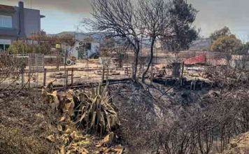 Η Ελλάδα μετράει τις στάχτες της