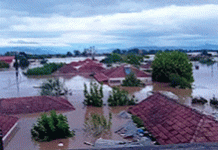 ΑΡΠΑ – ΡΕΚ: Συγκέντρωση ειδών πρώτης ανάγκης, για τους πλημμυροπαθείς της Θεσσαλίας