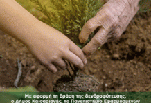 Δήμος Καισαριανής: ΣΥΝΕΝΤΕΥΞΗ ΤΥΠΟΥ 4/11/2023 & ΔΕΝΤΡΟΦΥΤΕΥΣΗ 5/11/2023