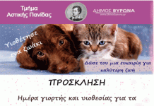 Πρόσκληση στην ημέρα γιορτής και υιοθεσίας για τα αδέσποτα του Βύρωνα!