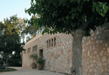 Καταγγελία για την κατάργηση του Κέντρου Μελέτης Χορού Ισιδώρας και Ραϋμόνδου Ντάνκαν, ως ΝΠΔΔ