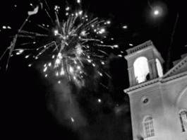 Επιστολή των φιλόζωων προς τους Δήμους: «Περιορίστε τα πυροτεχνήματα, κινδυνεύουν τα ζώα»