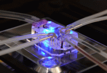 Ένα 3D εκτυπωμένο μικροτσιπ που δείχνει την αντίδραση του σώματος στα φάρμακα θα μπορούσε να θέσει τέρμα στις δοκιμές σε ζώα