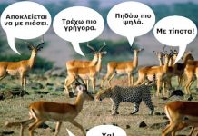 Το φαινόμενο της αντιλόπης…. – Της Ήλιας Ιατρού