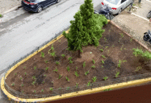 Ενάργεια Βυρωνιώτες: Ποιος ο οικονομικός απολογισμός: α) για το άγαλμα του Βαρόνου Μπάιρον και β) για την προτομή του Αχιλλέα Γεωργούτσου;