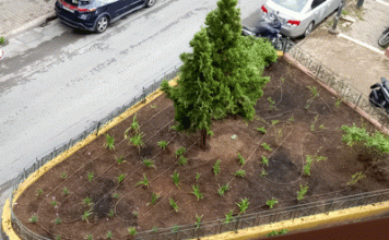 Ενάργεια Βυρωνιώτες: Ποιος ο οικονομικός απολογισμός: α) για το άγαλμα του Βαρόνου Μπάιρον και β) για την προτομή του Αχιλλέα Γεωργούτσου;