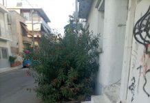 Πότε θα πάψει ο δήμος Βύρωνα να είναι ξέφραγο αμπέλι!;