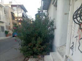Πότε θα πάψει ο δήμος Βύρωνα να είναι ξέφραγο αμπέλι!;