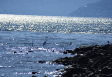 Η Ελλάδα έζησε τον πιο ζεστό χειμώνα στα χρονικά