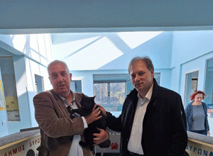 Ο δήμος Βύρωνα κατασκεύασε σπιτάκια για τις αδέσποτες γάτες