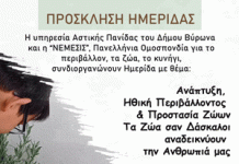 ΔΗΜΟΣ ΒΥΡΩΝΑ: Ημερίδα με Θέμα: Ανάπτυξη, Ηθική Περιβάλλοντος & Προστασία Ζώων, 28/4/2024, ώρα 10.00 π.μ.