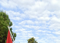 ΑΝΑΡΤΗΣΗ ΤΗΣ ΣΗΜΑΙΑΣ ΤΗΣ ΠΑΛΑΙΣΤΙΝΗΣ ΣΤΟ ΔΗΜΑΡΧΕΙΟ ΚΑΙΣΑΡΙΑΝΗΣ