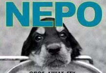 Δήμου Καισαριανής: Προστατεύουμε τα αδέσποτα και δεσποζόμενα ζώα από τη ζέστη!!!