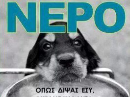 Δήμου Καισαριανής: Προστατεύουμε τα αδέσποτα και δεσποζόμενα ζώα από τη ζέστη!!!