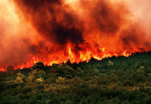 Δημ. Καισαριανής: ΚΙΝΗΤΟΠΟΙΗΣΗ ΣΤΟ ΥΠΟΥΡΓΕΙΟ ΠΟΛΙΤΙΚΗΣ ΠΡΟΣΤΑΣΙΑΣ