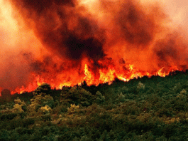 Δημ. Καισαριανής: ΚΙΝΗΤΟΠΟΙΗΣΗ ΣΤΟ ΥΠΟΥΡΓΕΙΟ ΠΟΛΙΤΙΚΗΣ ΠΡΟΣΤΑΣΙΑΣ