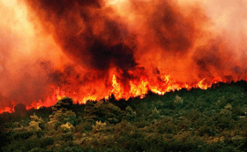 Δημ. Καισαριανής: ΚΙΝΗΤΟΠΟΙΗΣΗ ΣΤΟ ΥΠΟΥΡΓΕΙΟ ΠΟΛΙΤΙΚΗΣ ΠΡΟΣΤΑΣΙΑΣ