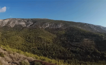 Υμηττός: Ο «πνεύμονας» της Αττικής που απαιτεί προστασία