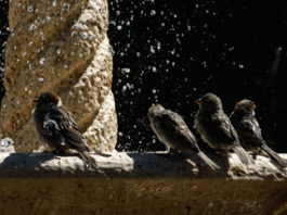 Αυτή ήταν η πιο ζεστή μέρα όλων των εποχών – Τη ζήσαμε 21 Ιουλίου 2024